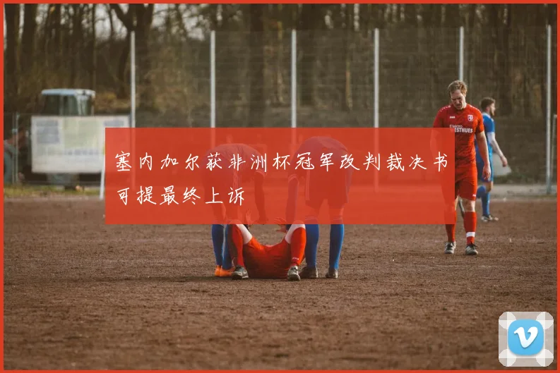 塞内加尔获非洲杯冠军改判裁决书可提最终上诉